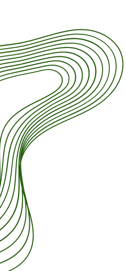 Decorative shape 1